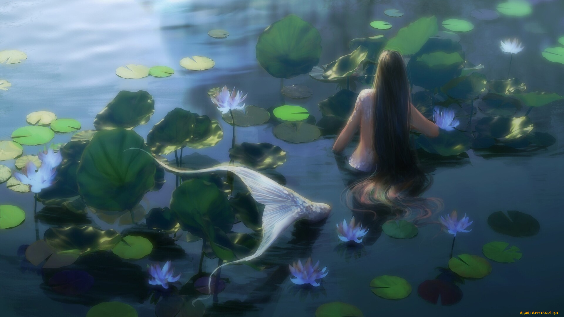 фэнтези, русалки, русалка, озеро, кувшинки