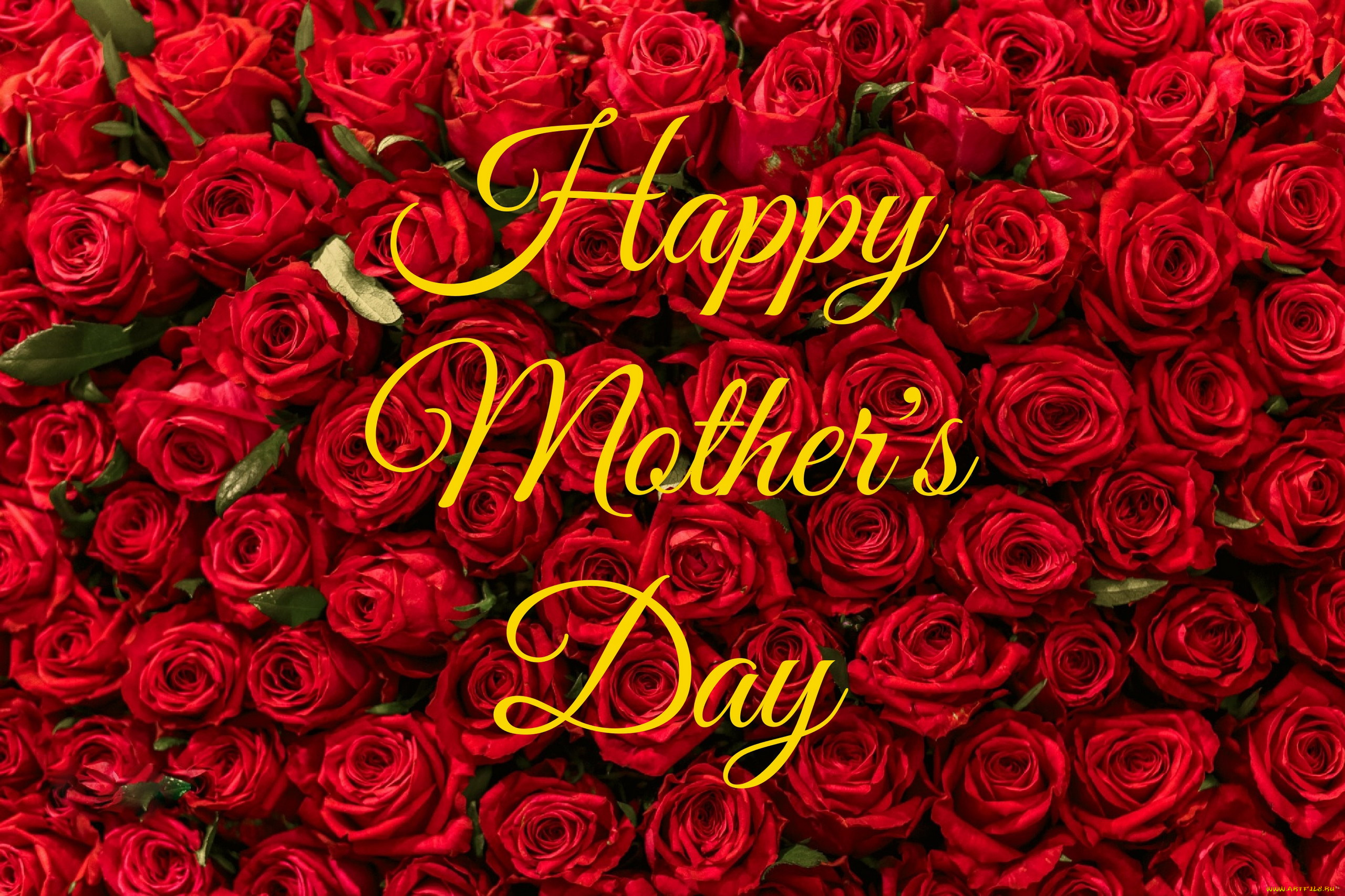 праздничные, день, матери, алые, розы, много, надпись
