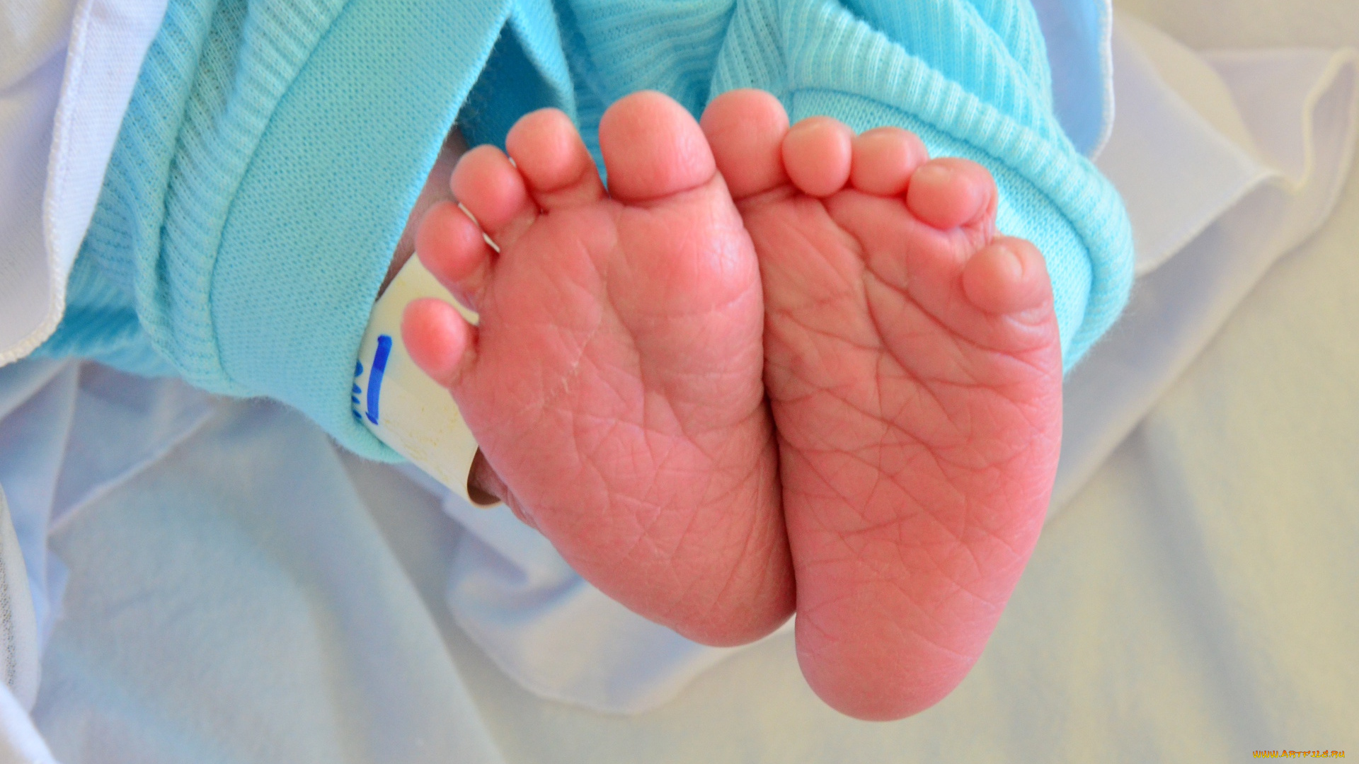 разное, руки, , ноги, ребенок, ноги