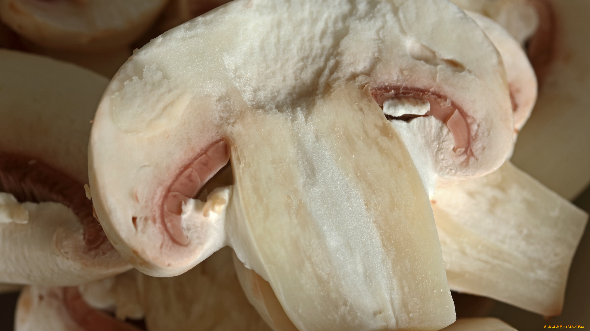 еда, грибы, , грибные, блюда, шампиньоны, макро