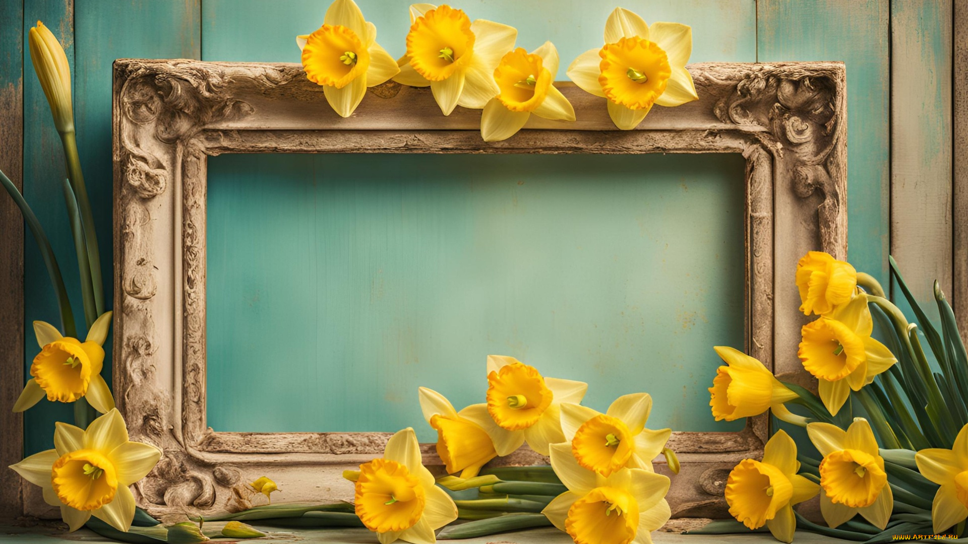 разное, компьютерный, дизайн, рамка, нарциссы, желтые