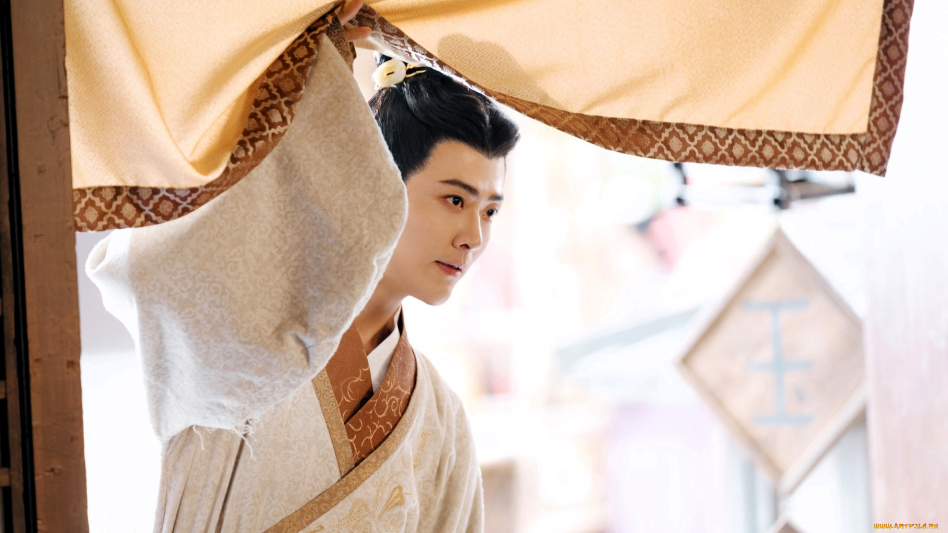 the, prisoner, of, beauty, кино, фильмы, -unknown, , другое, парень, наряд, шторы