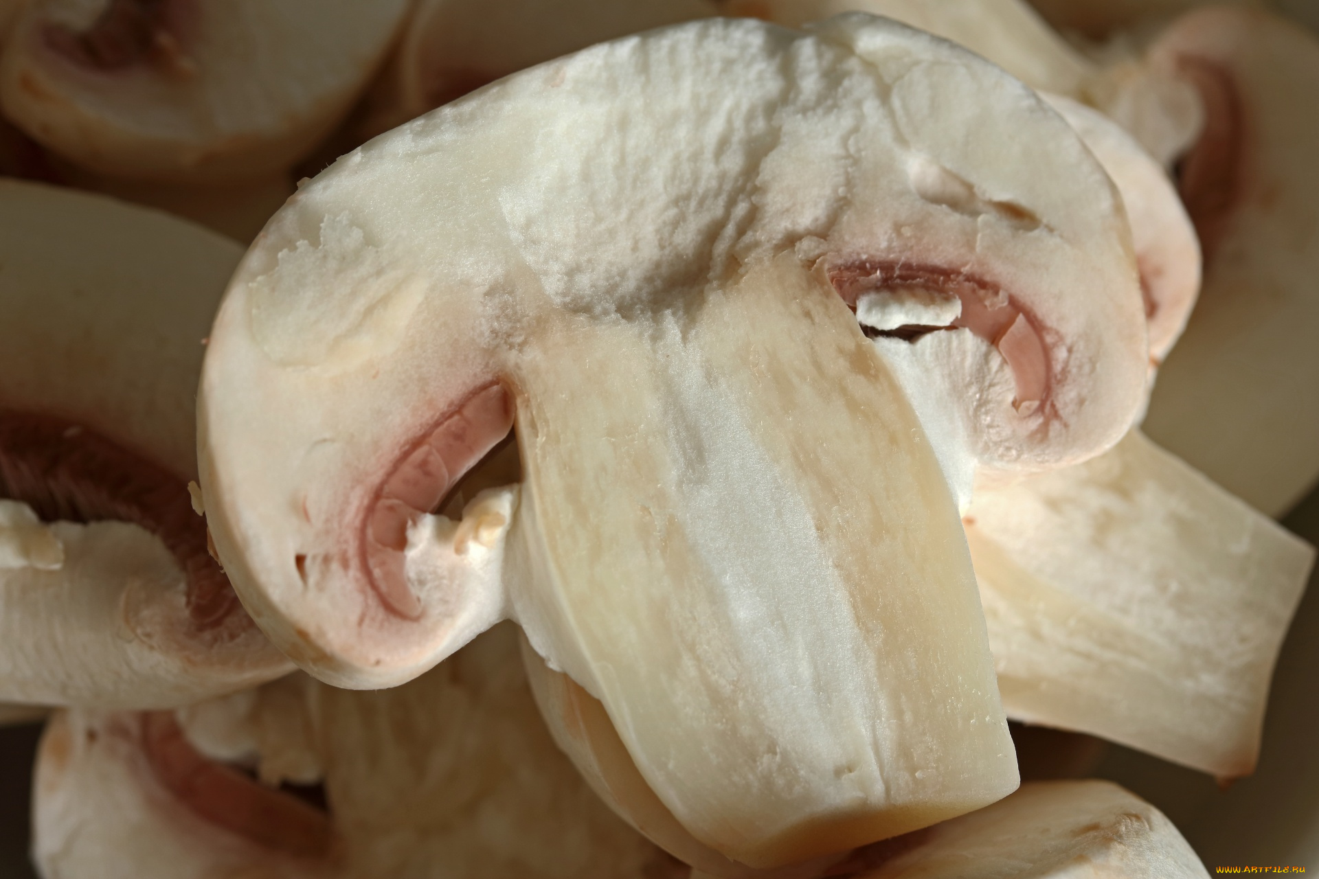 еда, грибы, , грибные, блюда, шампиньоны, макро