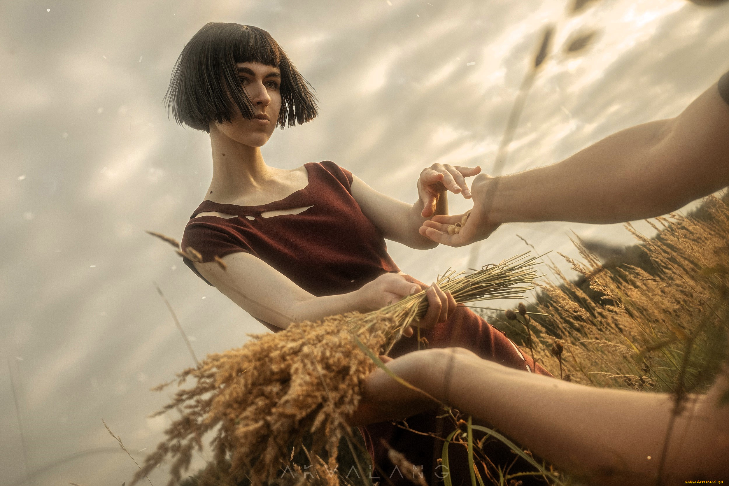 девушки, -, брюнетки, , шатенки, брюнетка, букет, поле, платье, руки