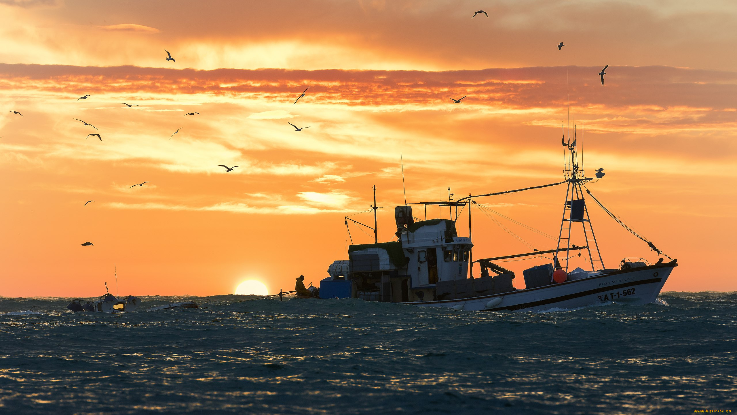 корабли, траулеры, , сейнеры, , плавбазы, рыболовное, судно