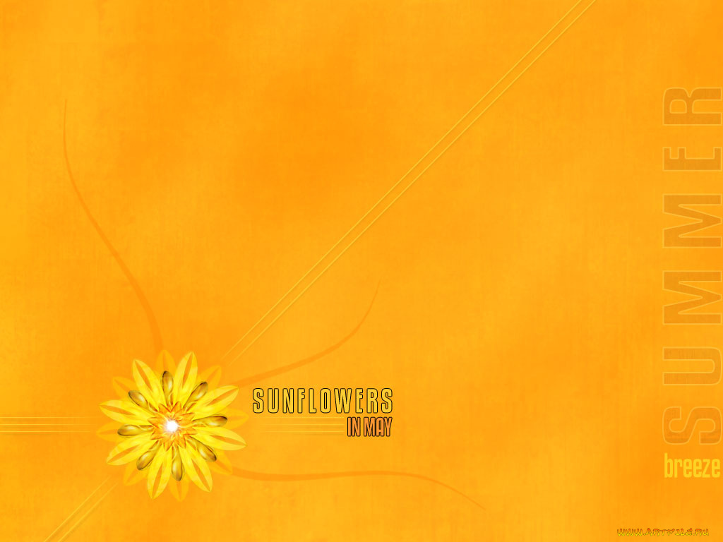 компьютеры, desktop, decor