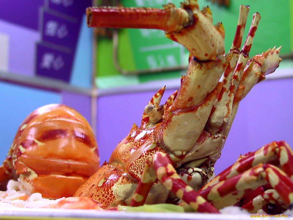 еда, рыба, морепродукты, суши, роллы