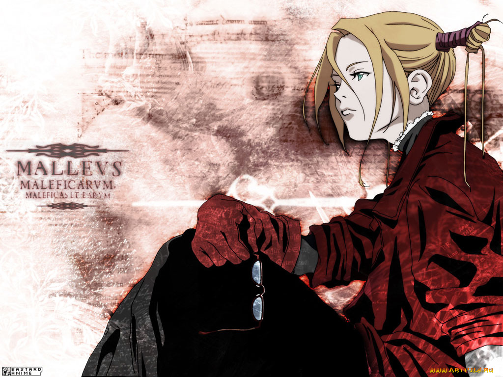 аниме, witch, hunter, robin