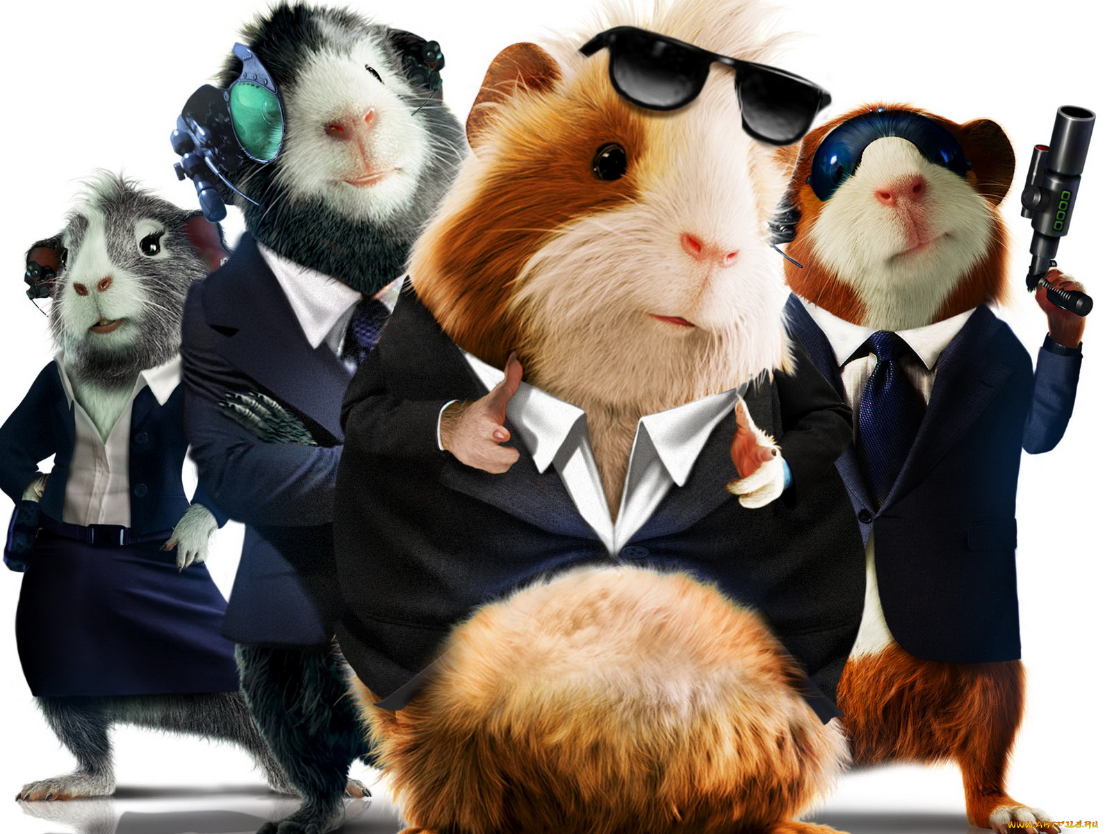 мультфильмы, force