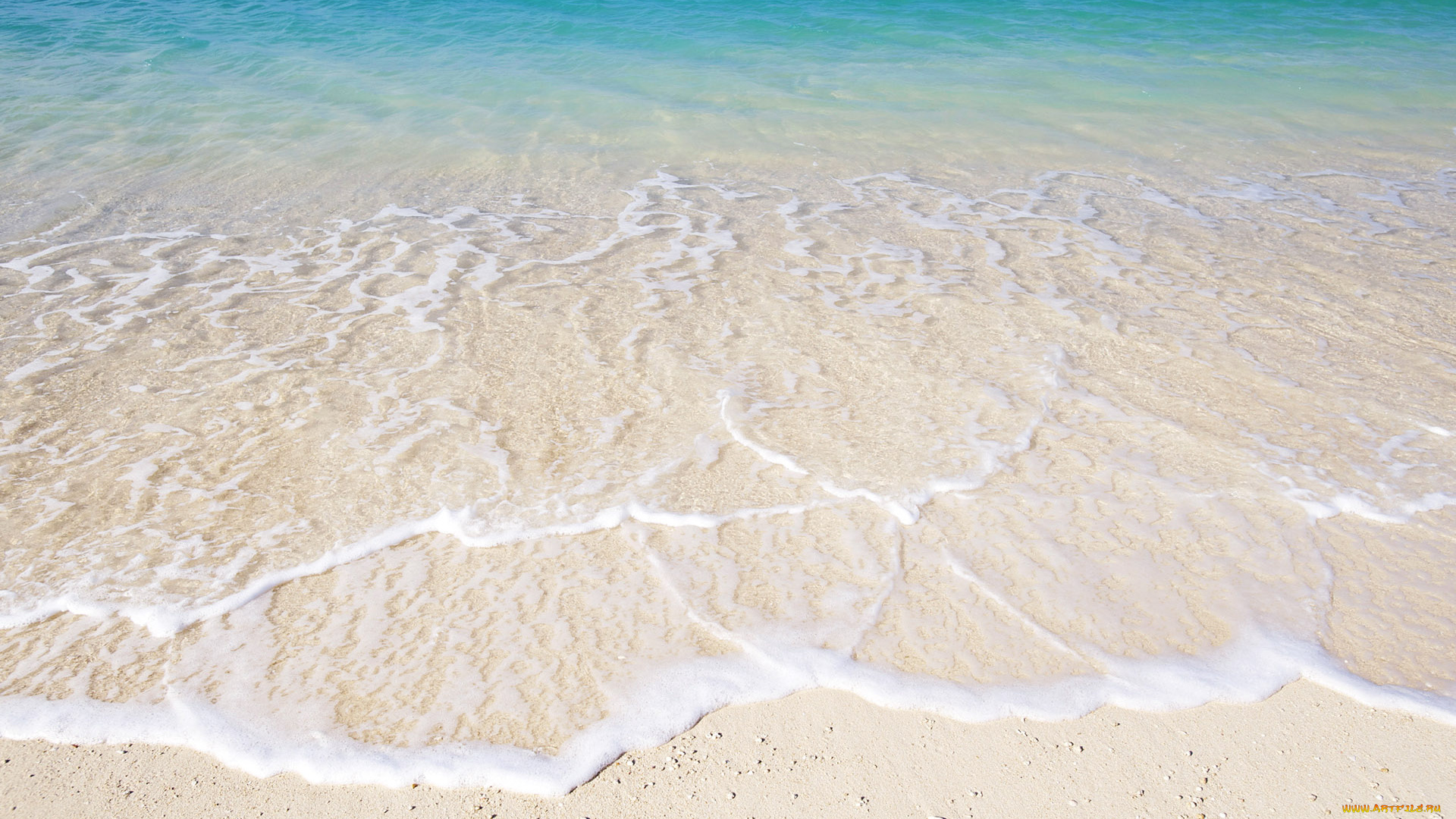 природа, моря, океаны