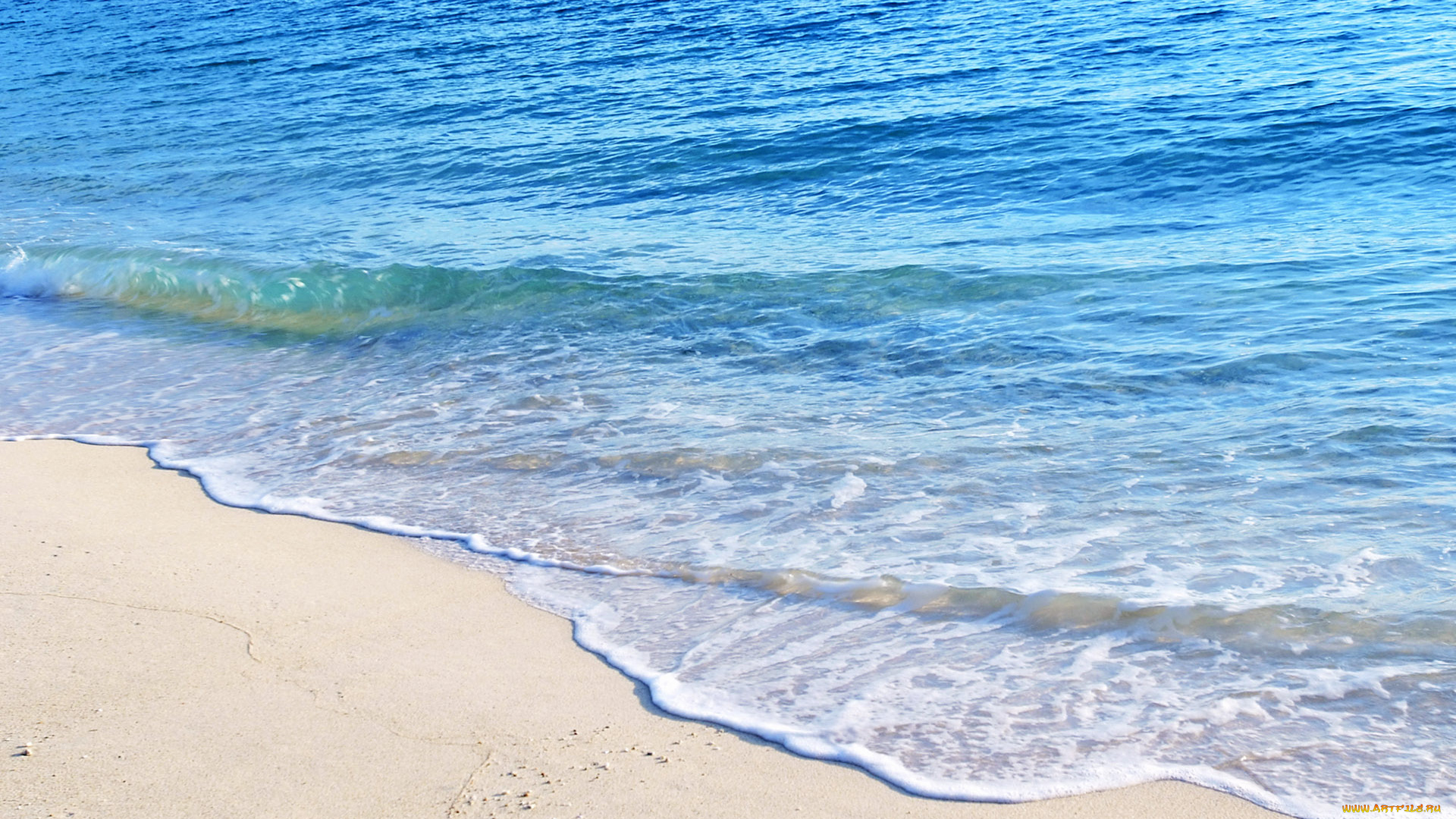 природа, побережье