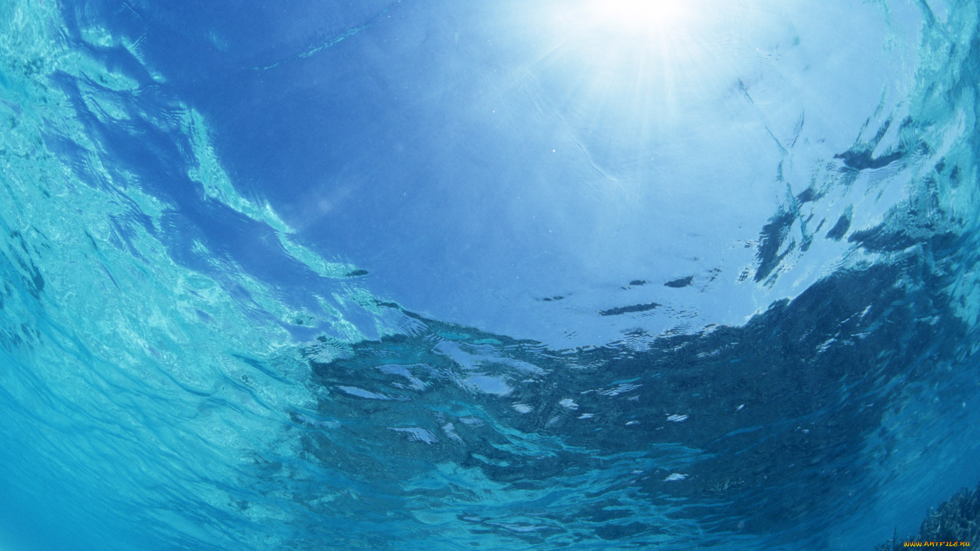 природа, вода