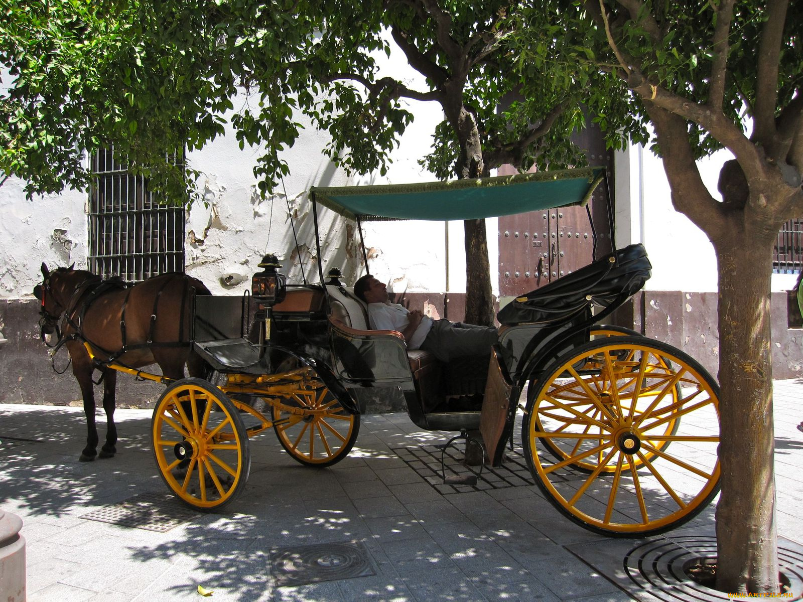 разное, люди, экипаж