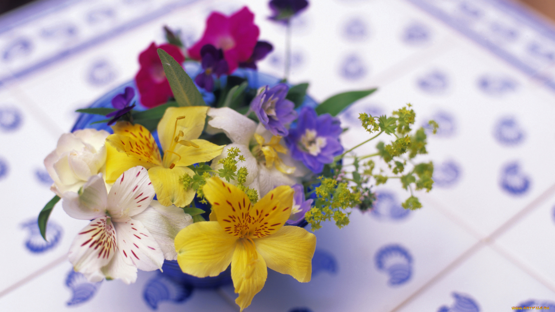 цветы, букеты, композиции