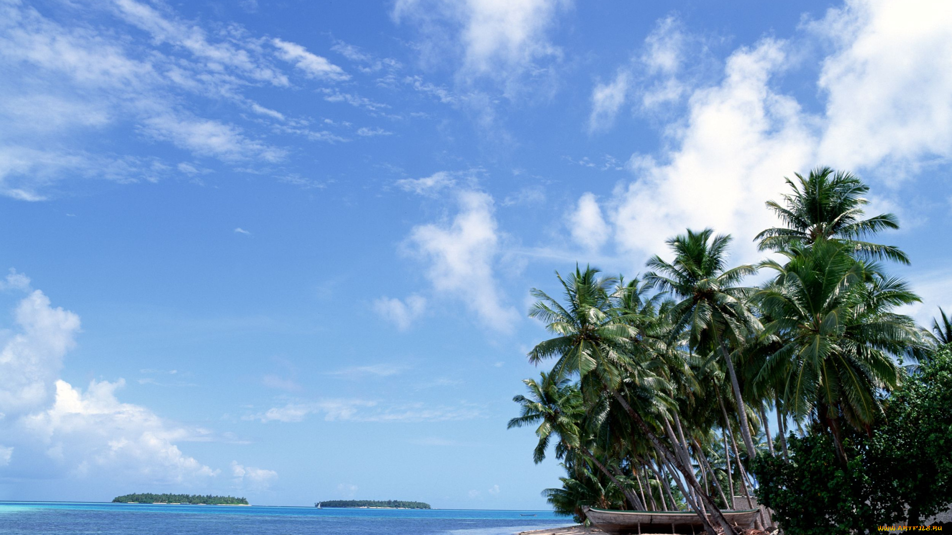 природа, тропики