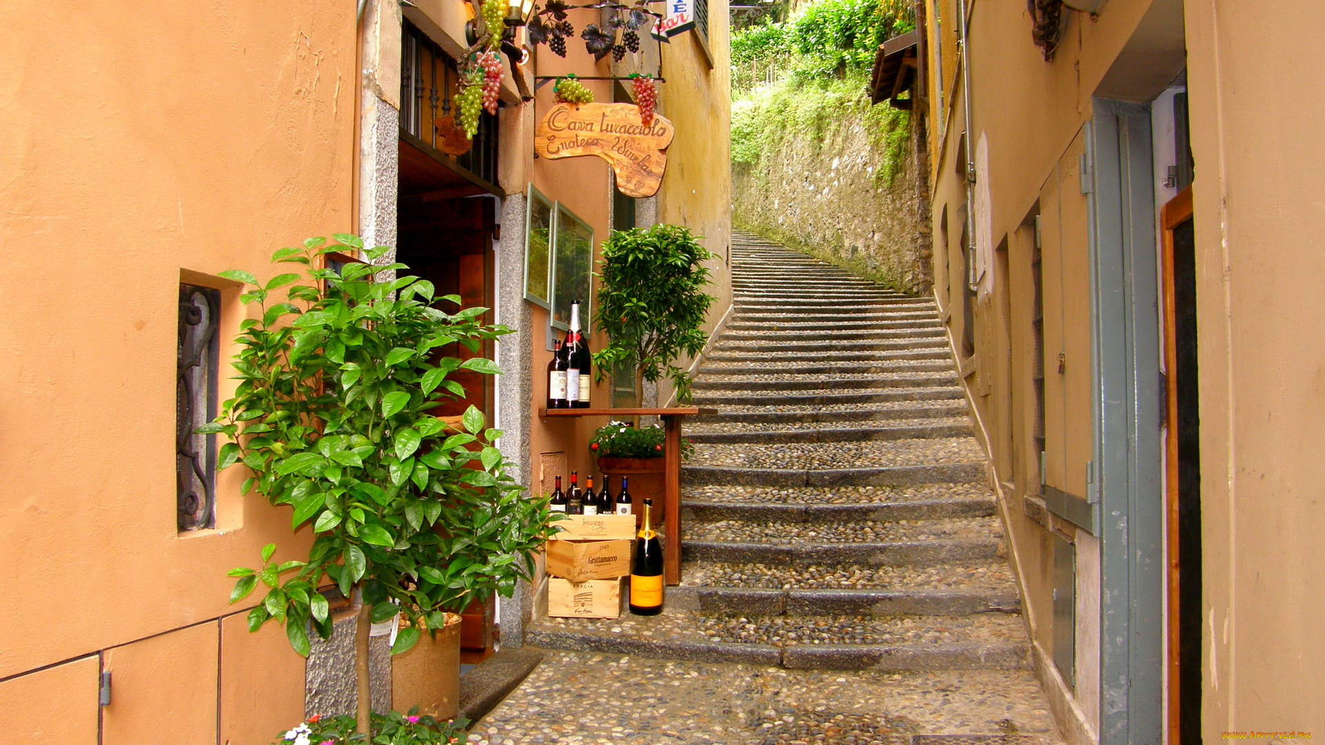 италия, ломбардия, варенна, города, улицы, площади, набережные, улочка, ступеньки, цветники, магазин, напитки