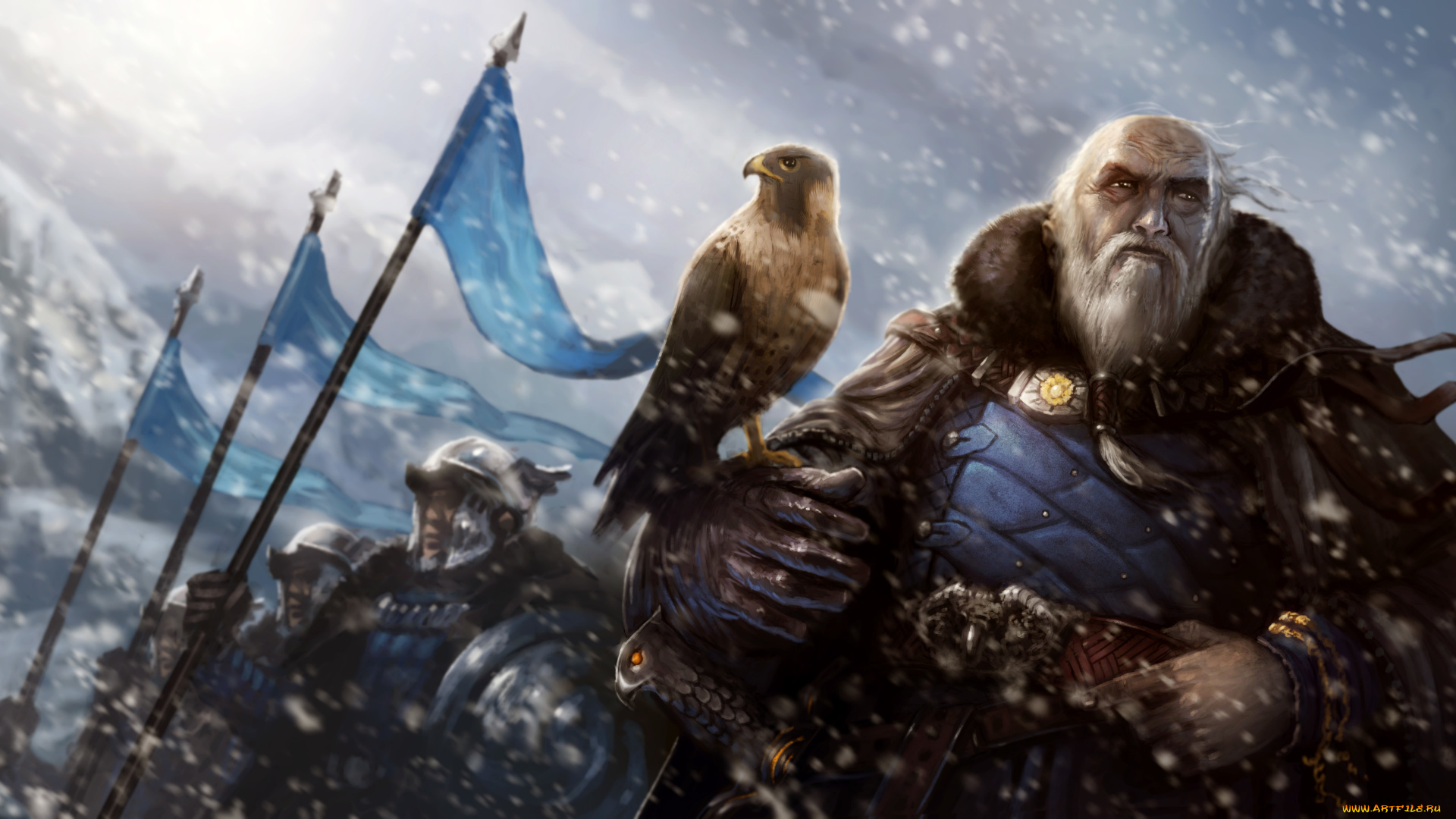 фэнтези, люди, сокол, рыцари, вождь, воин, старик, войско, рать