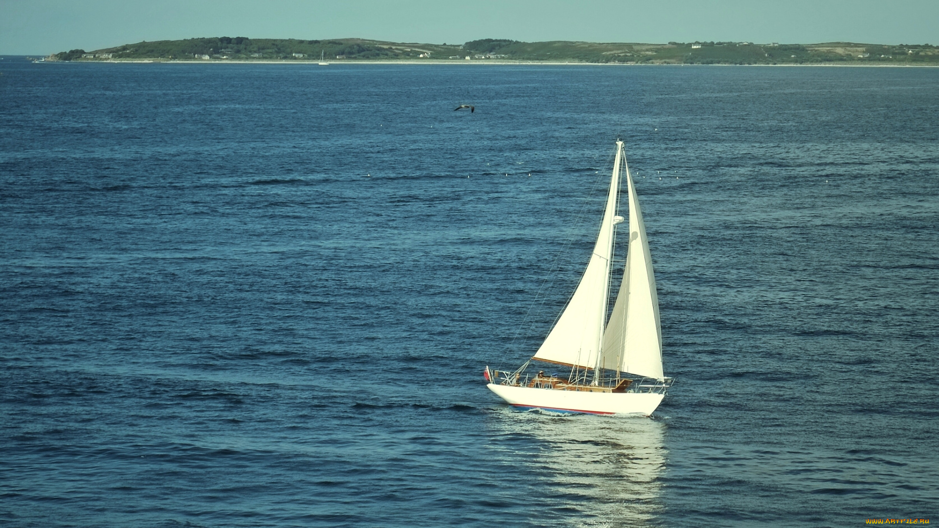 корабли, Яхты, парус