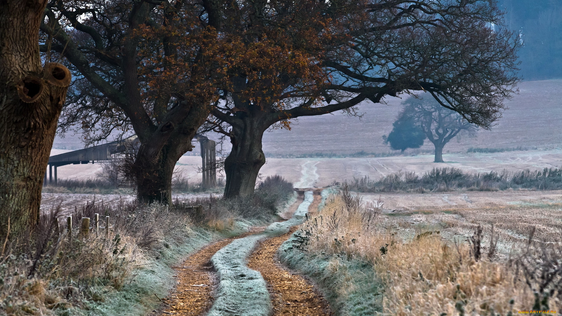 природа, дороги, поле, деревья, пейзаж