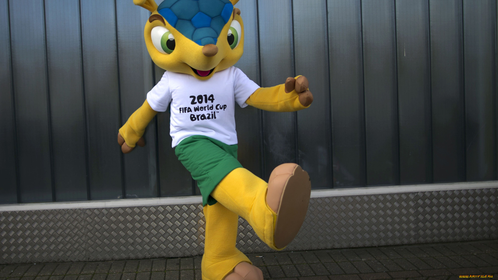 спорт, -, другое, броненосец, символ, чемпионат, забор, футбол, бразилия