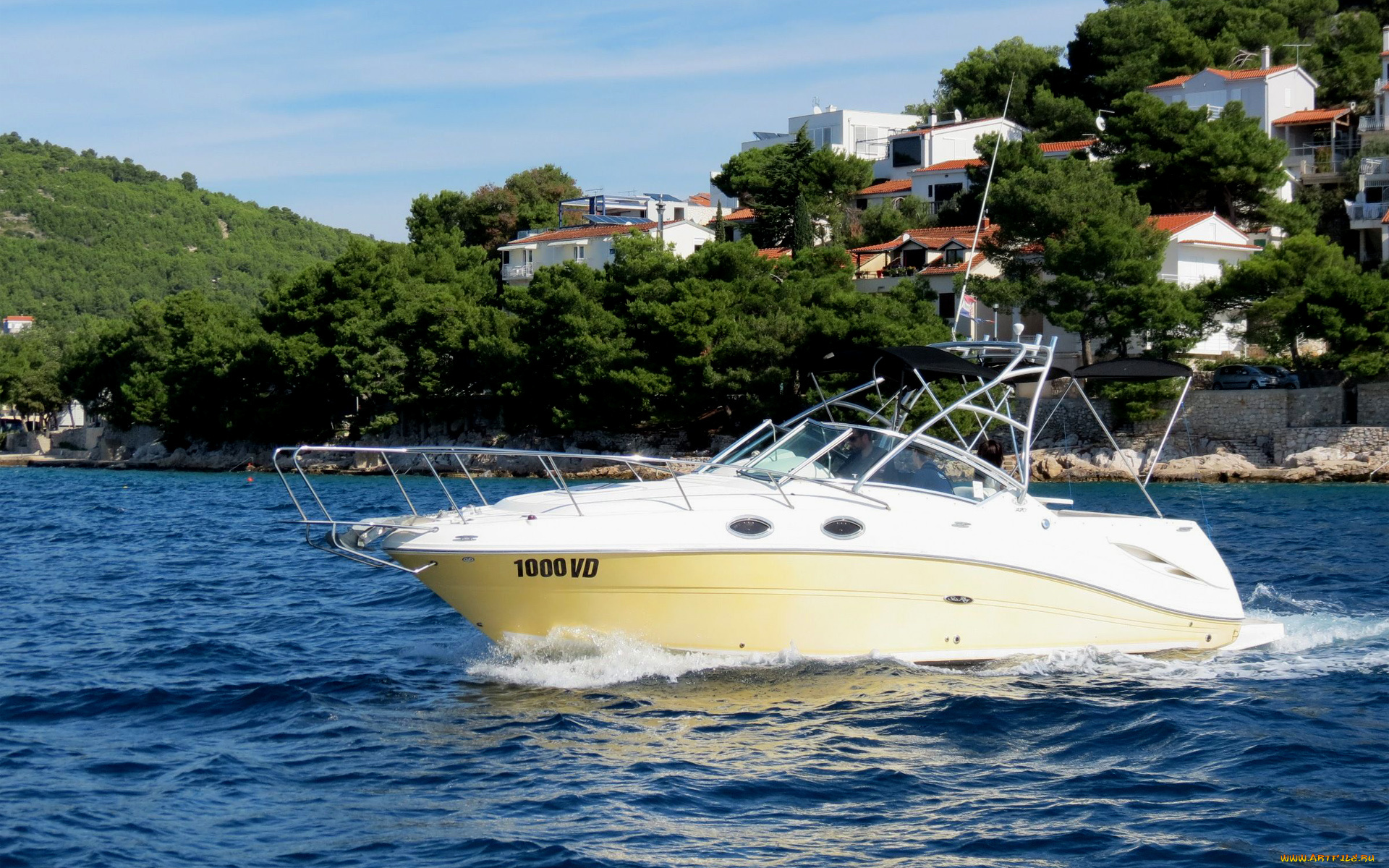 корабли, катера