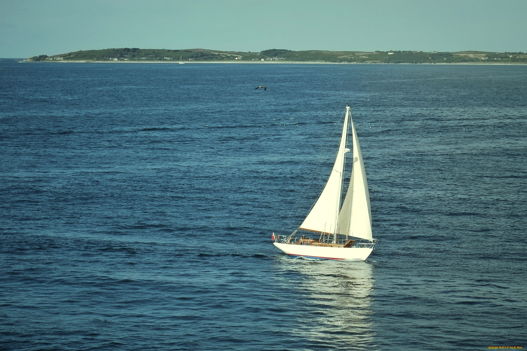 корабли, Яхты, парус