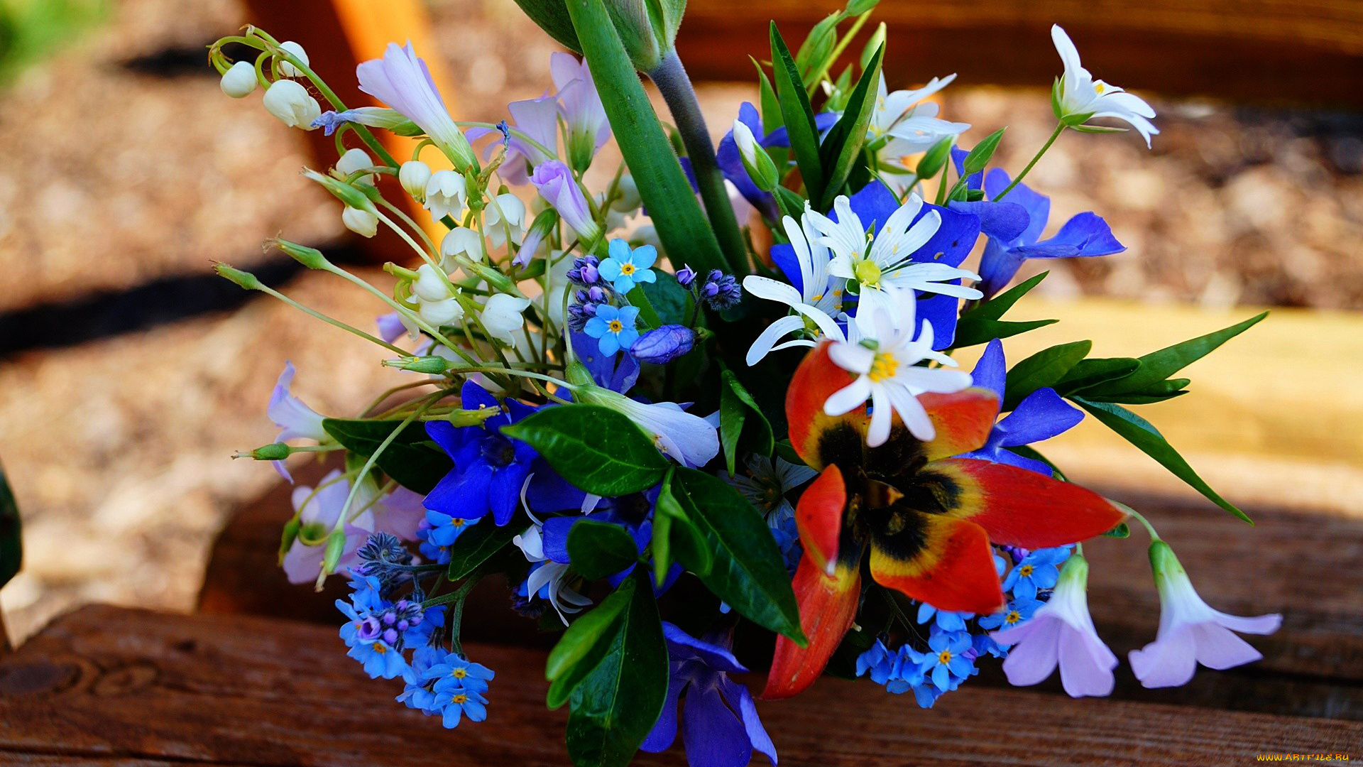 цветы, букеты, , композиции, незабудки, ландыши, анемоны, тюльпаны