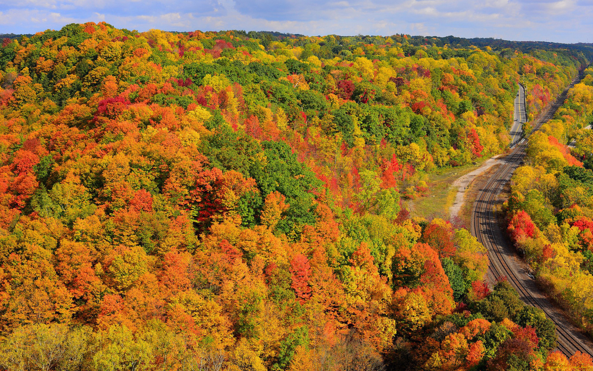 природа, пейзажи, лес, осень