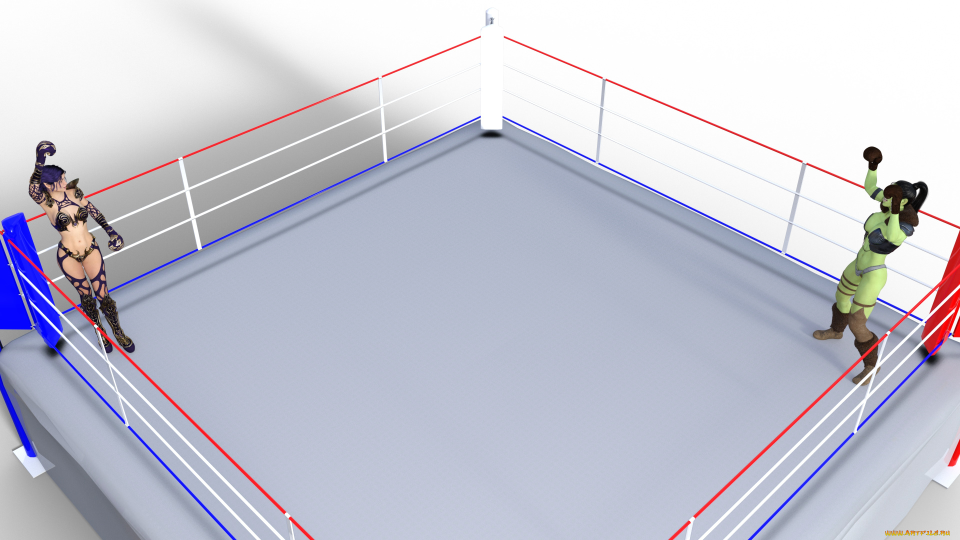3д, графика, спорт, , sport, бокс, фон, взгляд, девушки