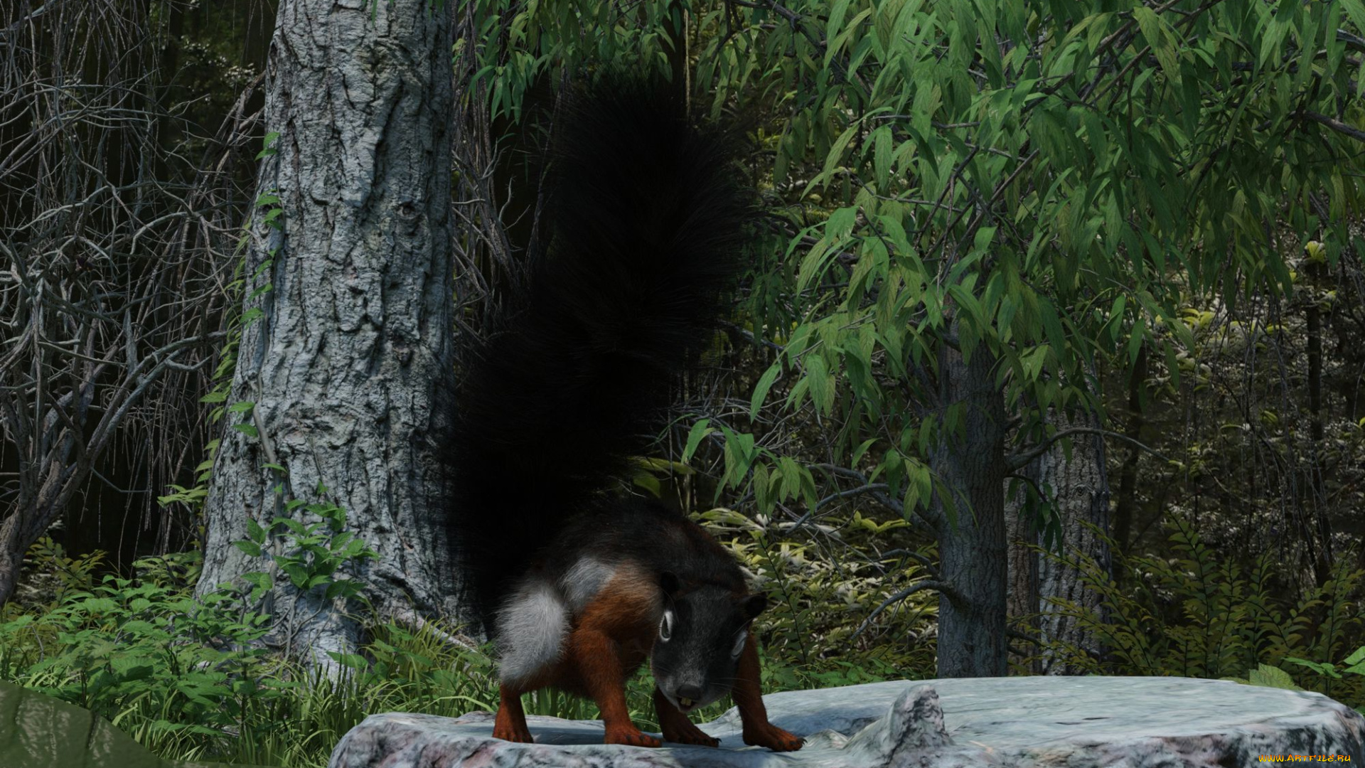 3д, графика, животные, , animals, белка