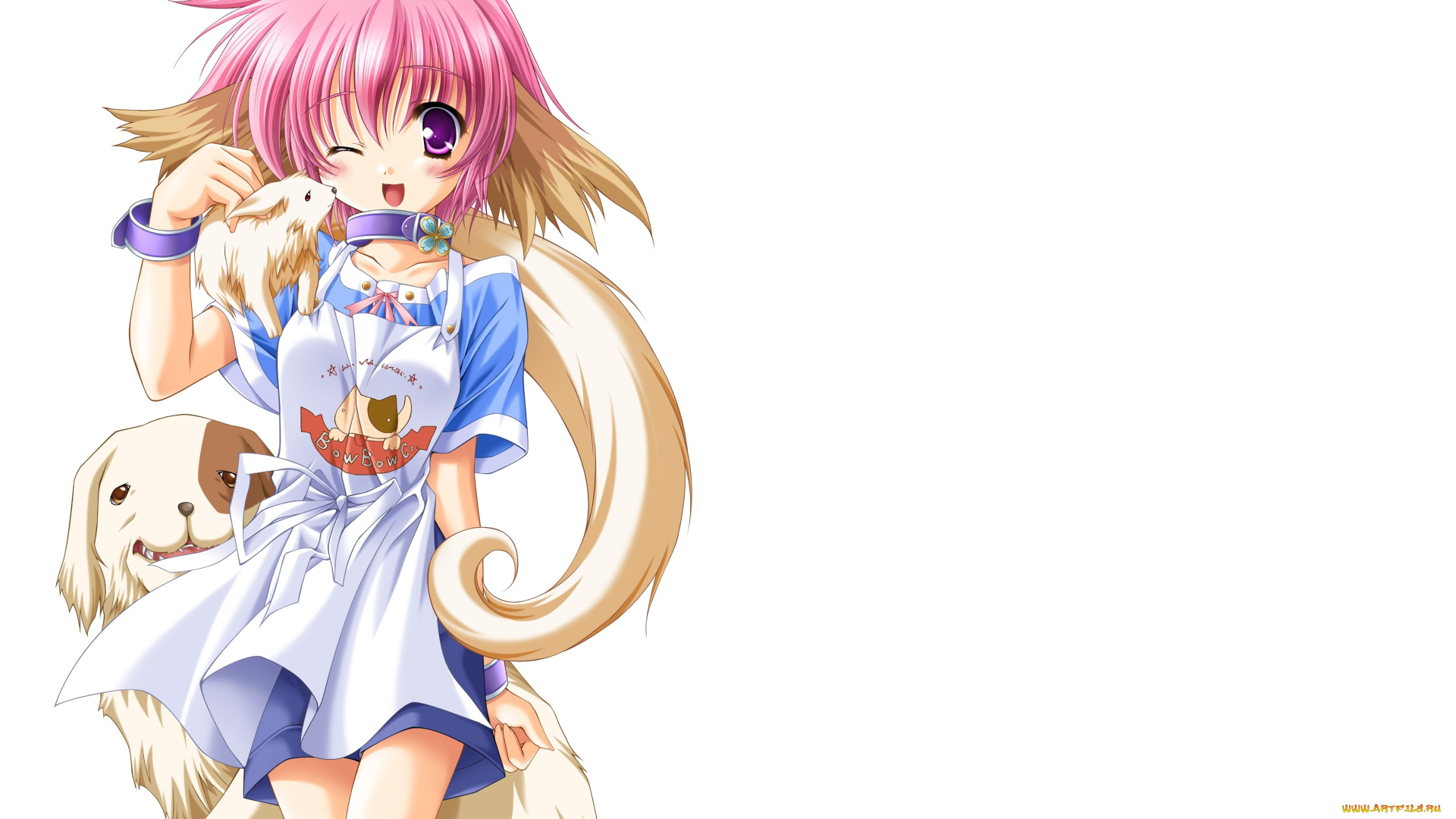 аниме, животные, , существа, фон, девушка, взгляд