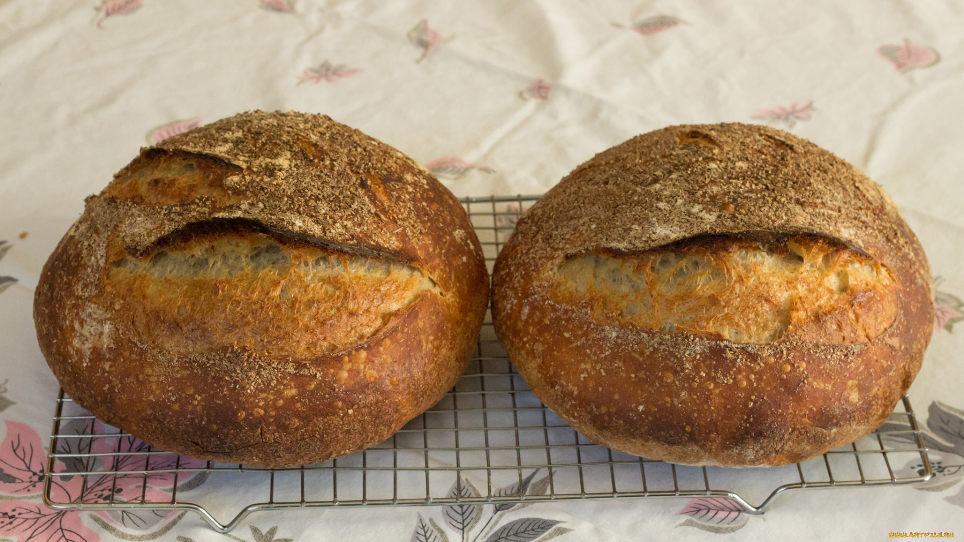 еда, хлеб, , выпечка, хлебушек