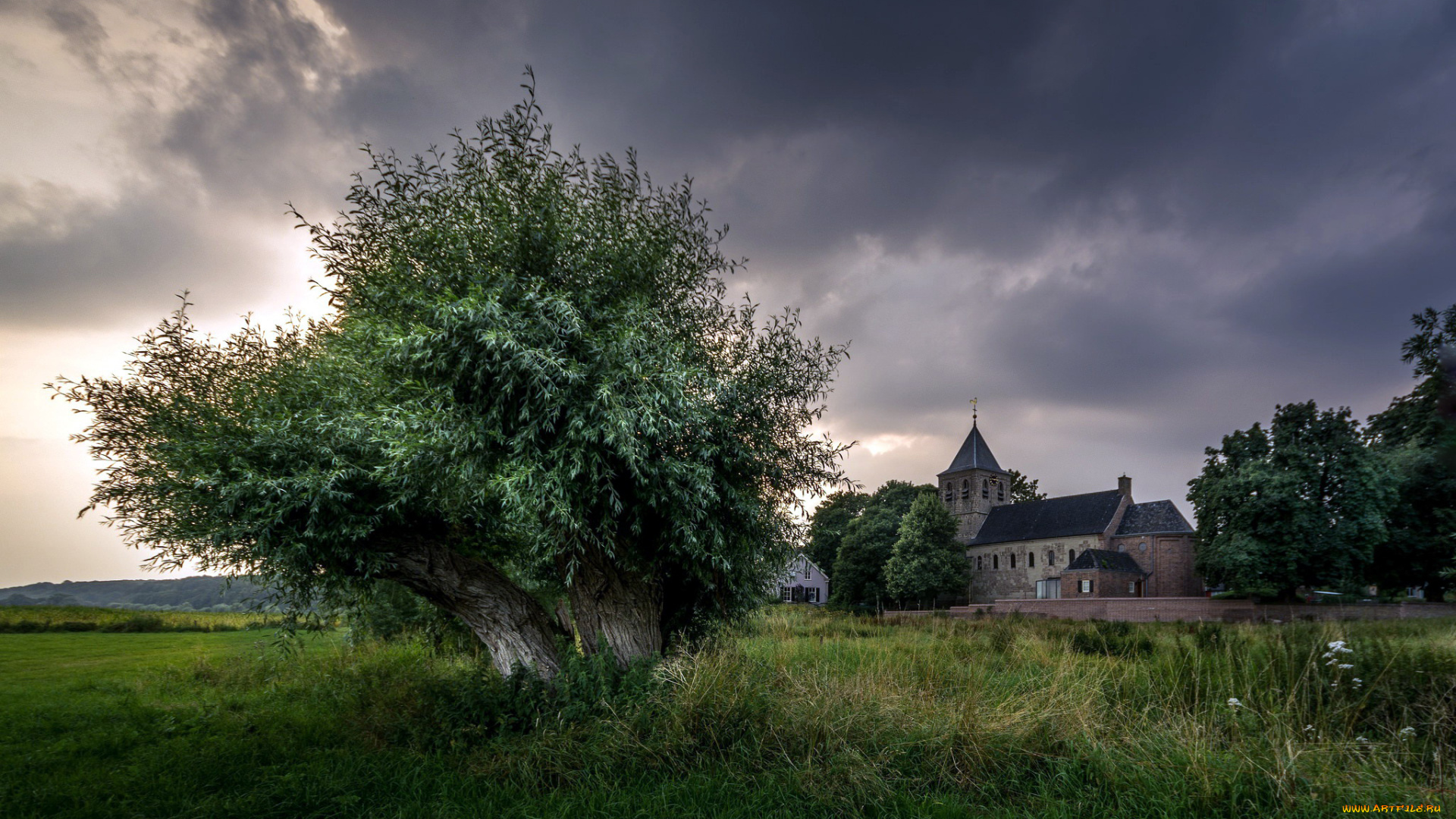 города, -, католические, соборы, , костелы, , аббатства, дерево, костел, тучи