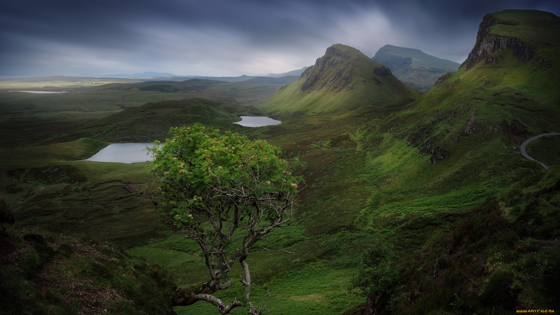 природа, горы, камни, шотландия, гора, скалы, дерево, остров, скай