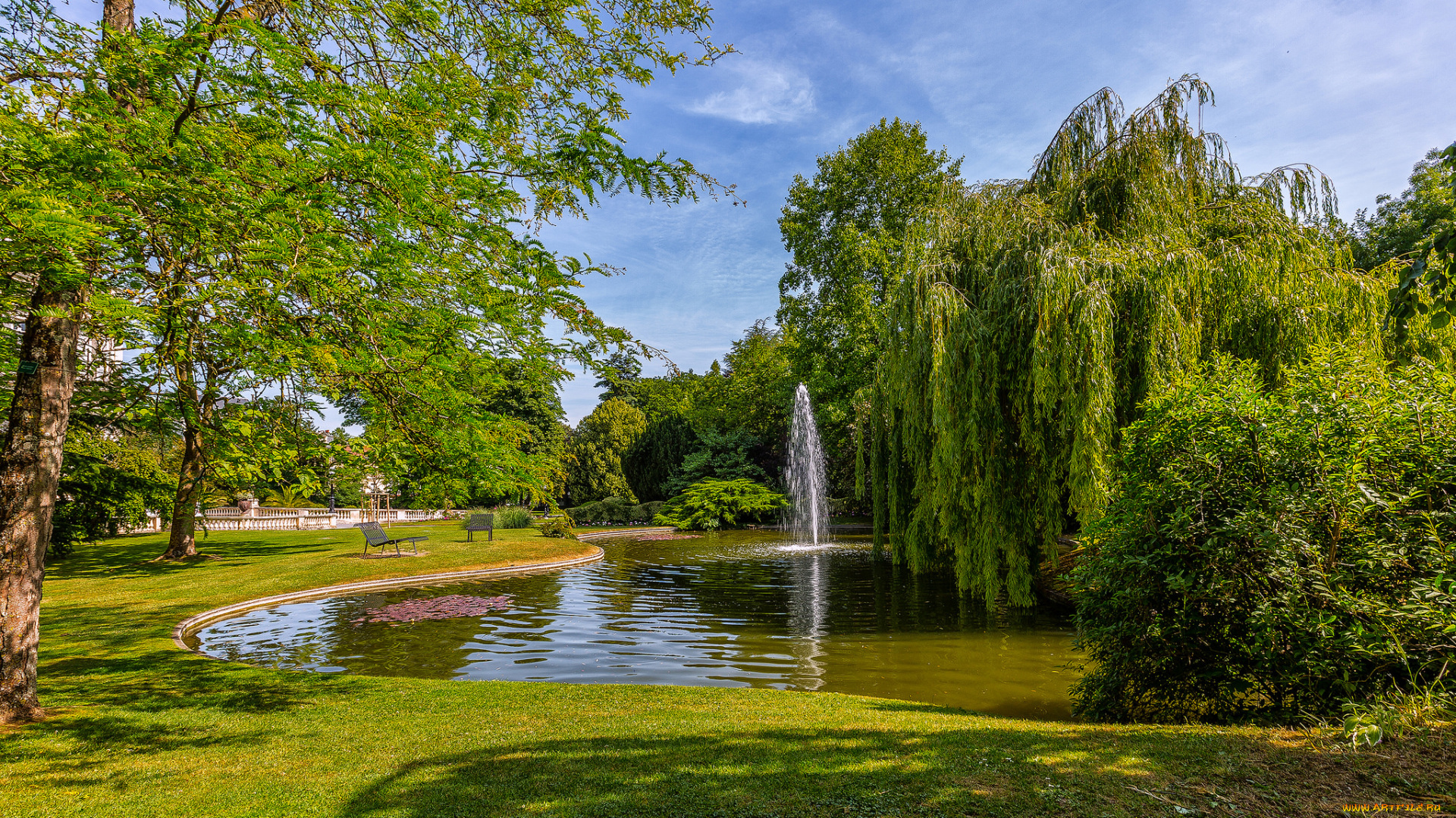 природа, парк, простор