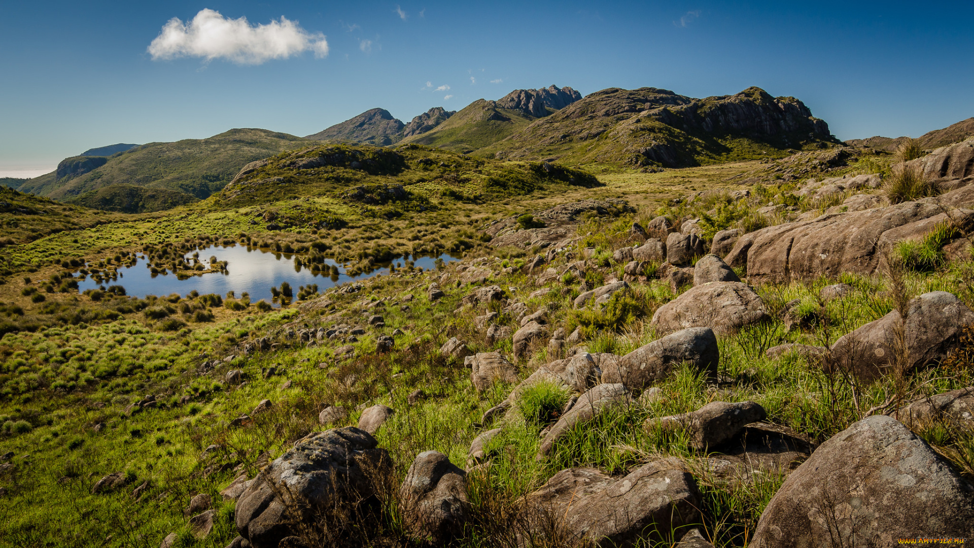 природа, пейзажи, простор