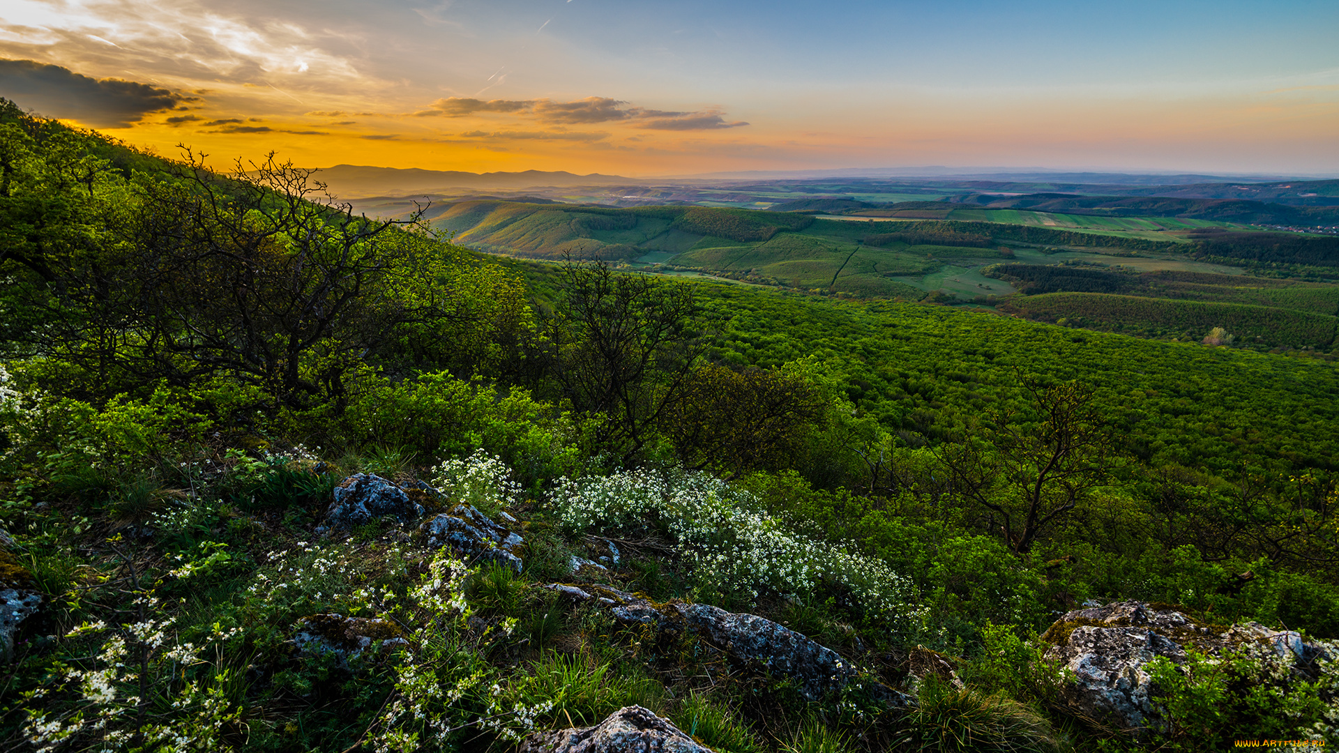 природа, пейзажи, простор