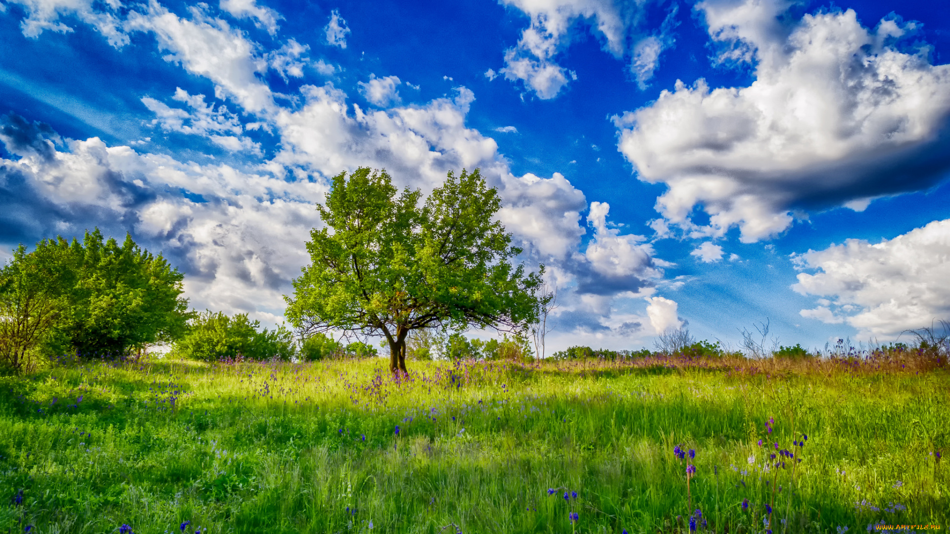 природа, пейзажи, простор