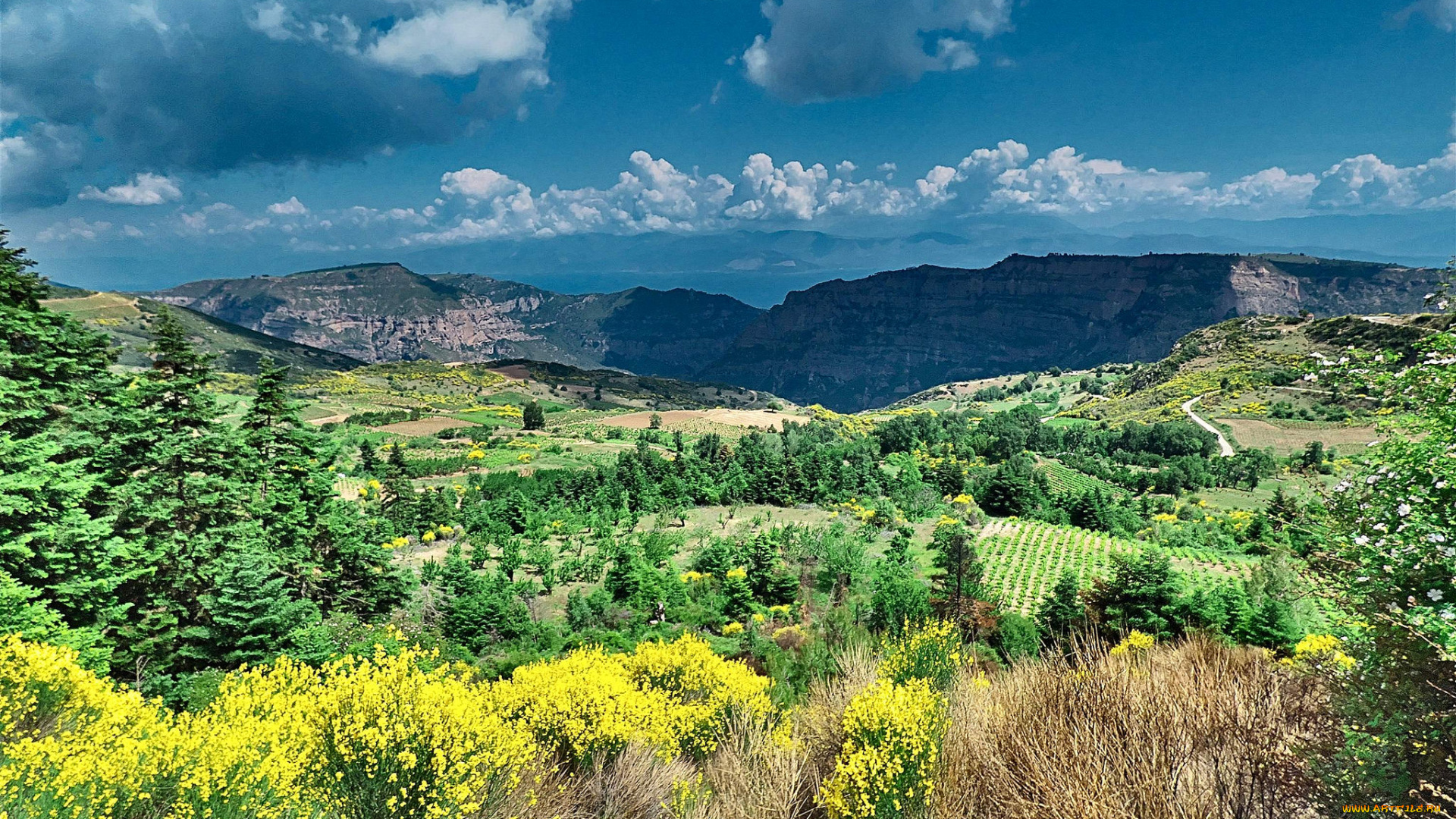 природа, пейзажи, простор