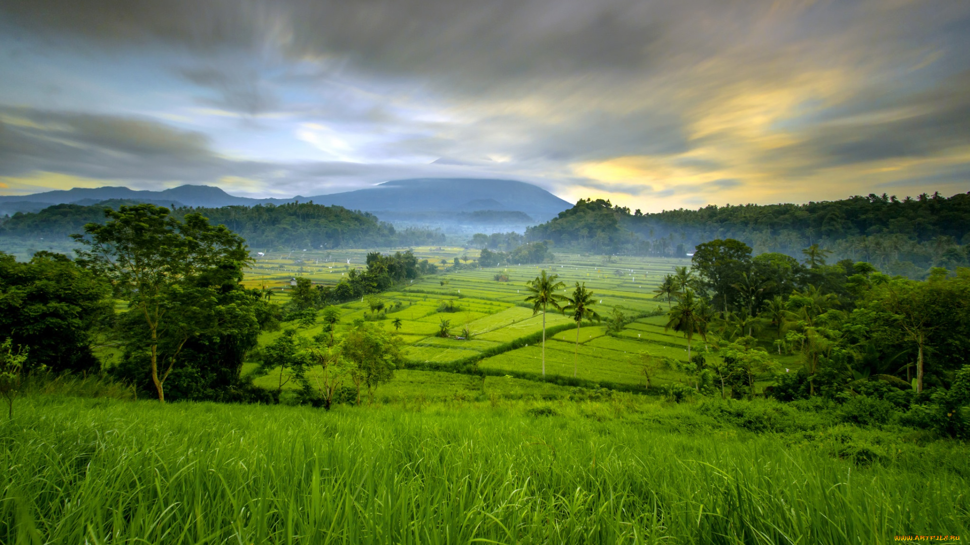 природа, пейзажи, простор