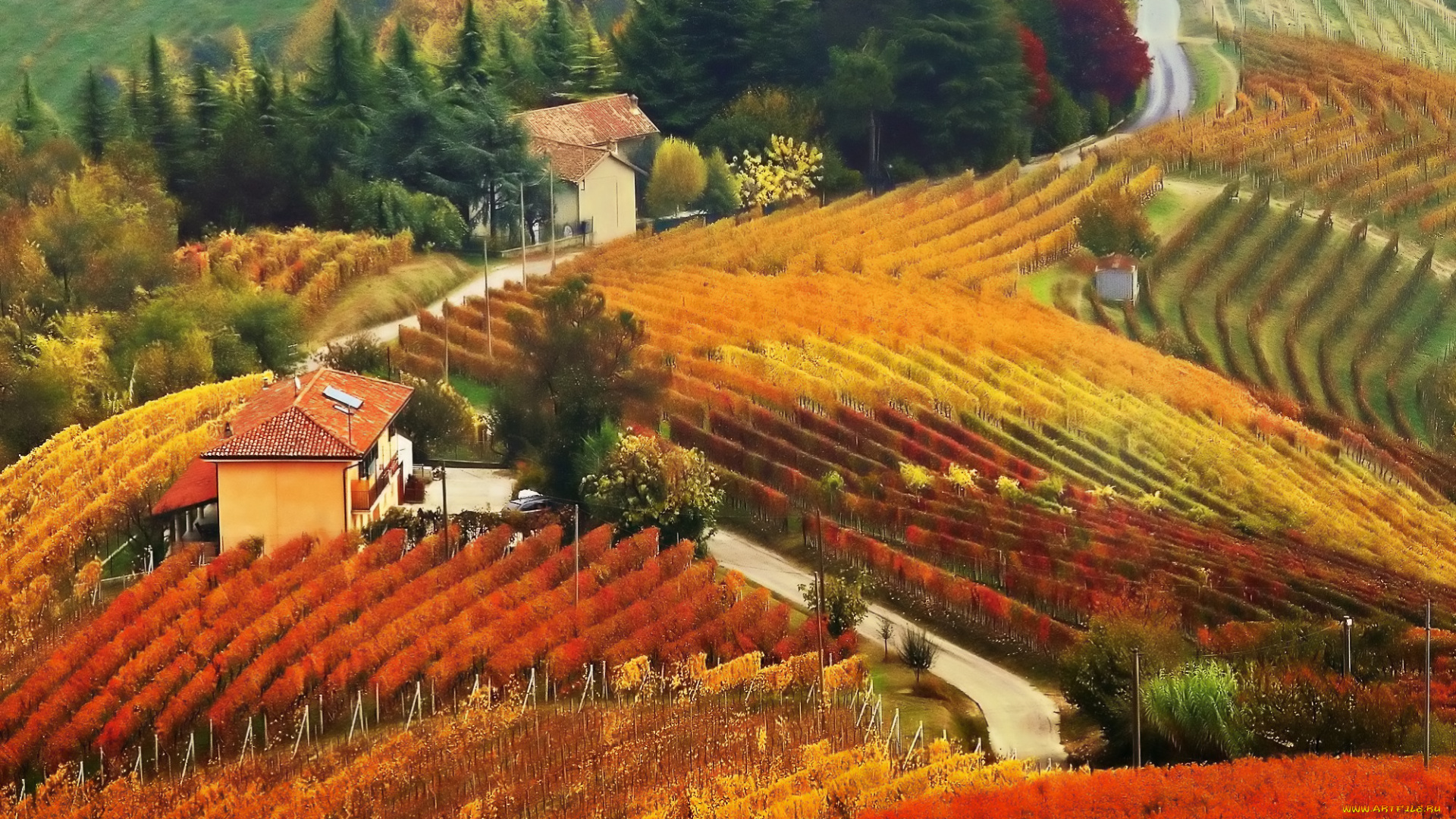 природа, поля, пейзаж