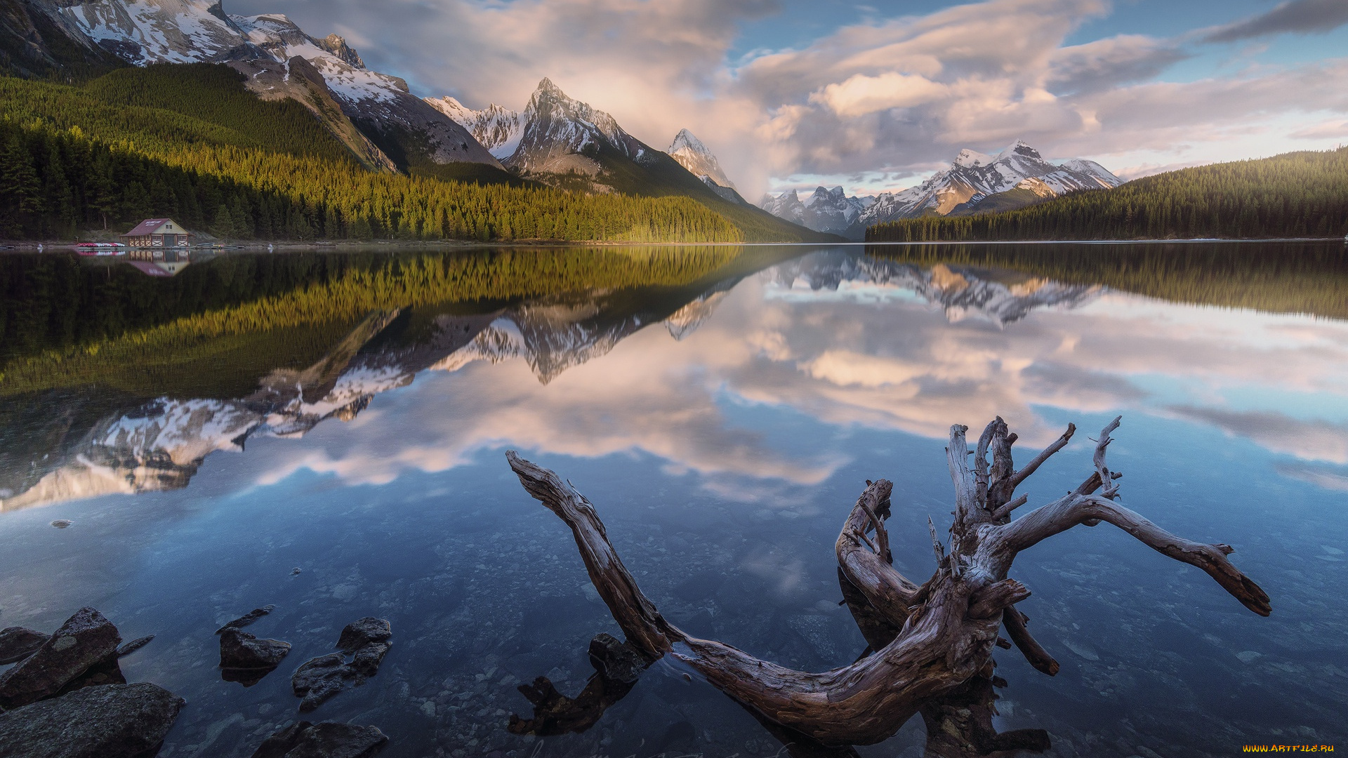 природа, реки, озера, лес, коряга, леса, небо, горы, озеро, облака, домик