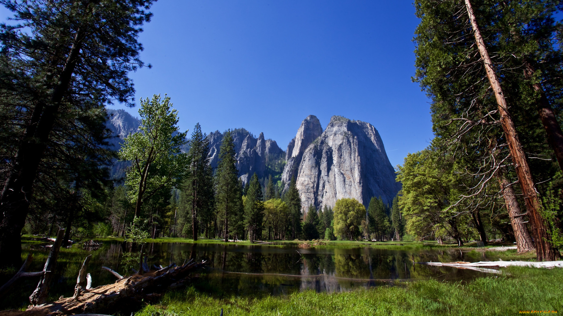 природа, реки, озера, лес, река