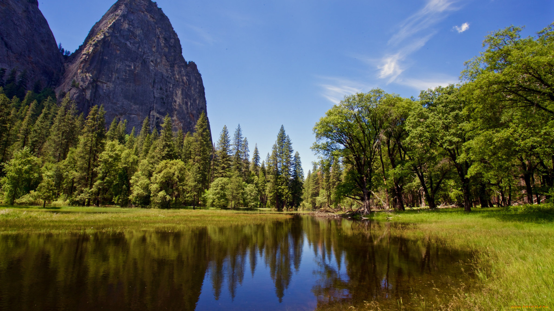 природа, реки, озера, лес, река