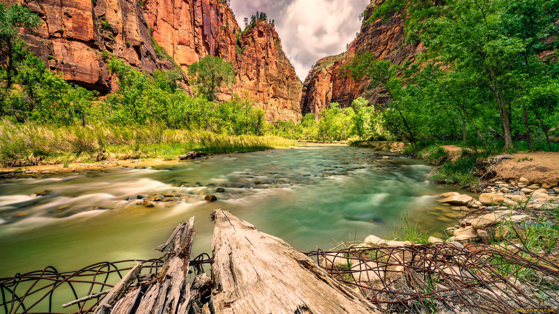 природа, реки, озера, лес, река