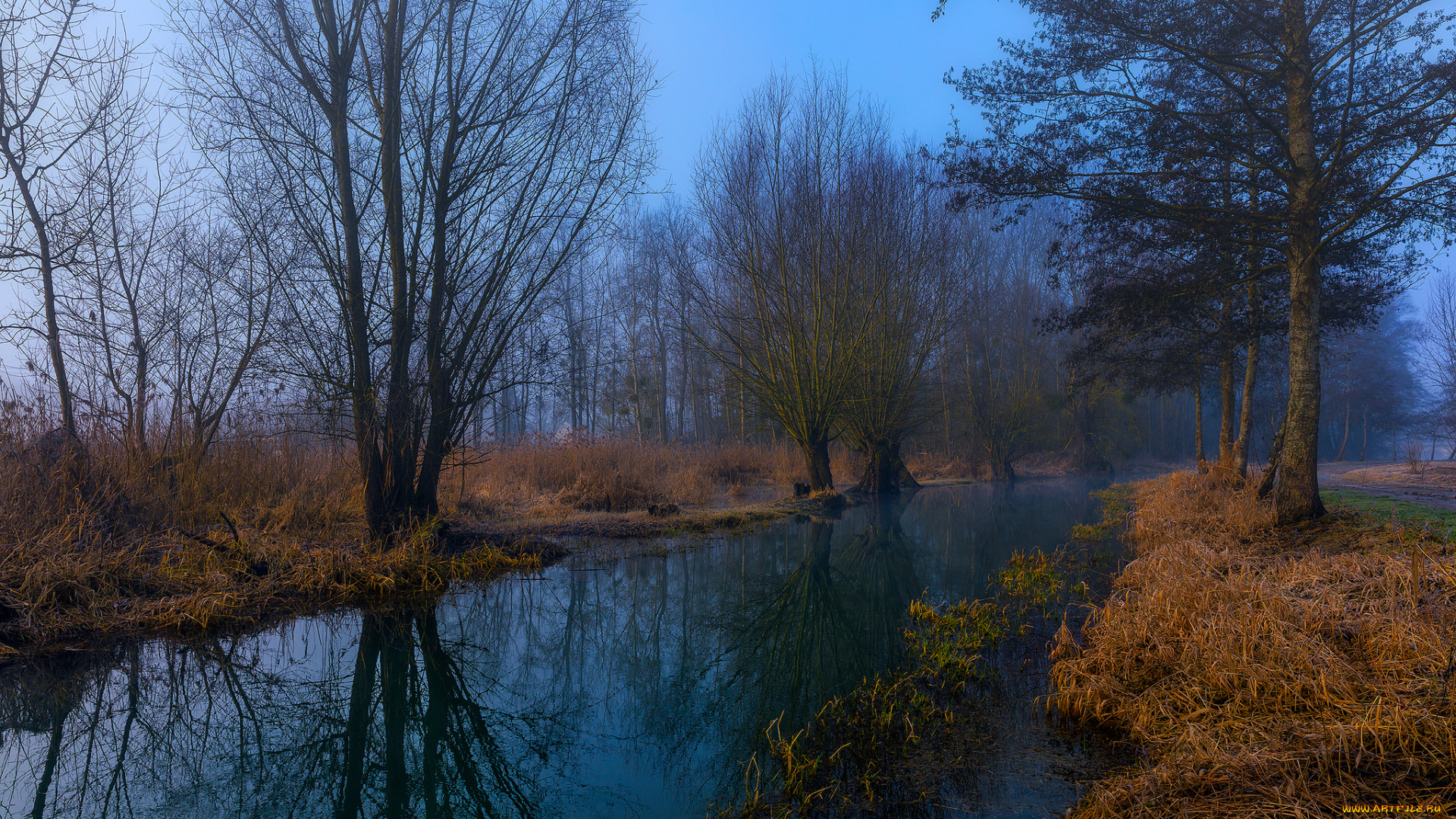 природа, реки, озера, лес, река