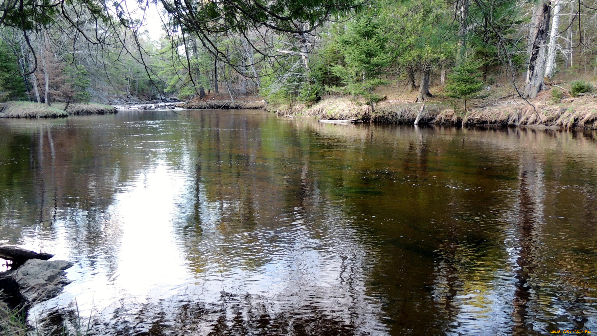 природа, реки, озера, отражение, река, вода