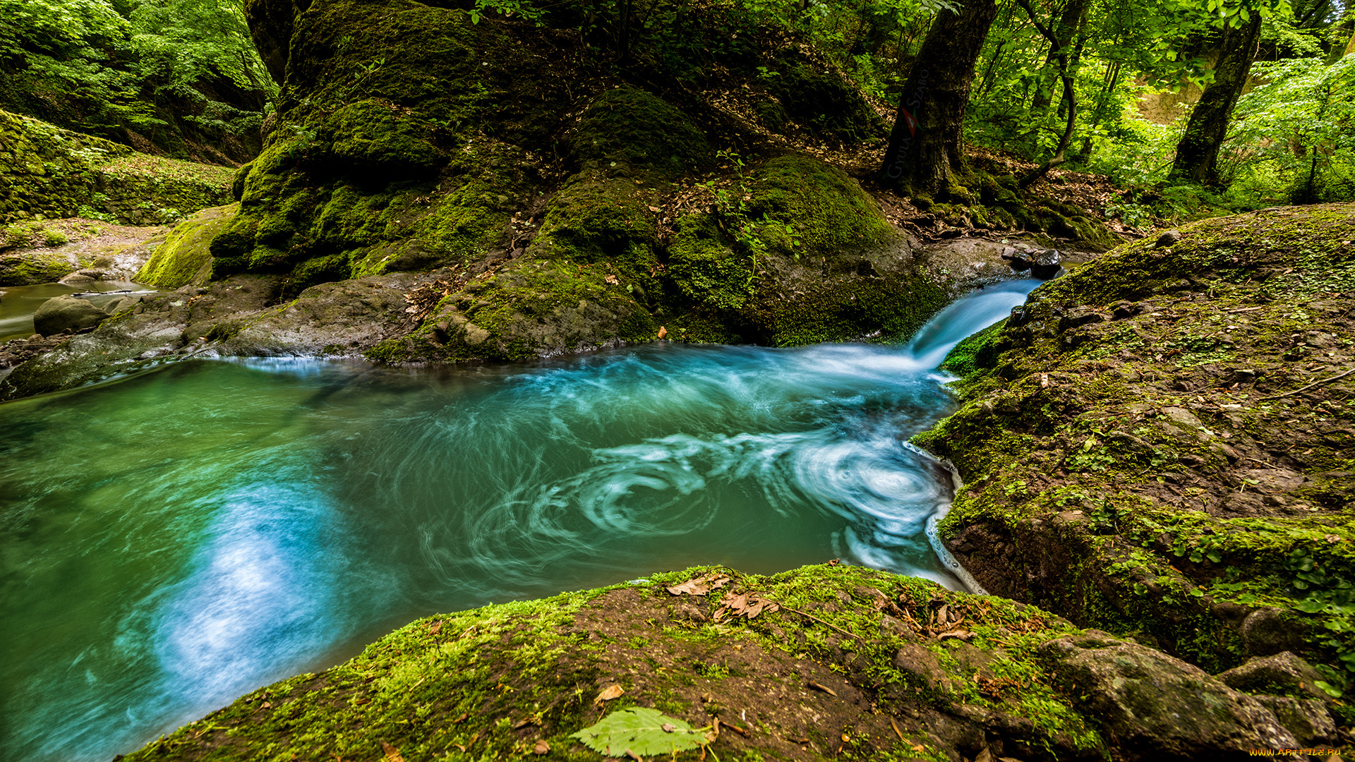природа, реки, озера, река, лес
