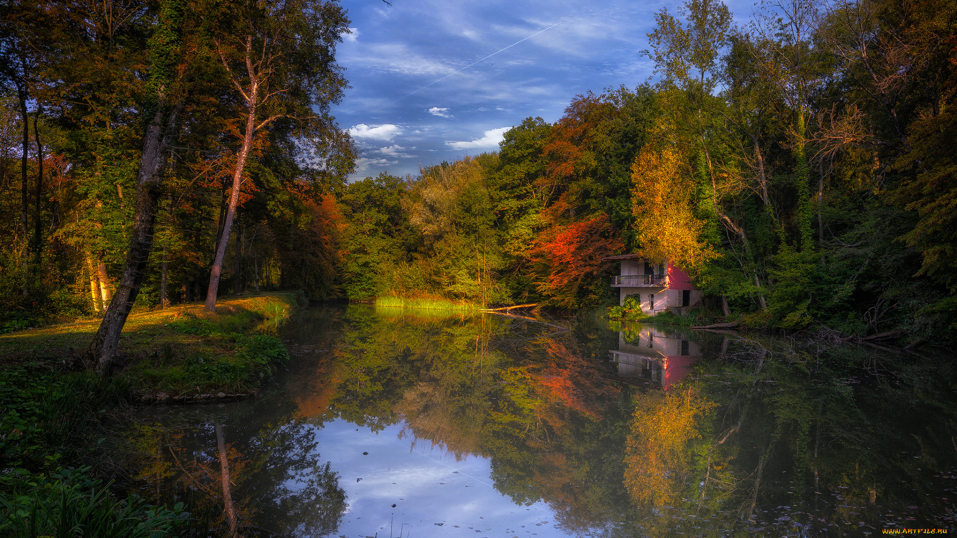 природа, реки, озера, река, лес