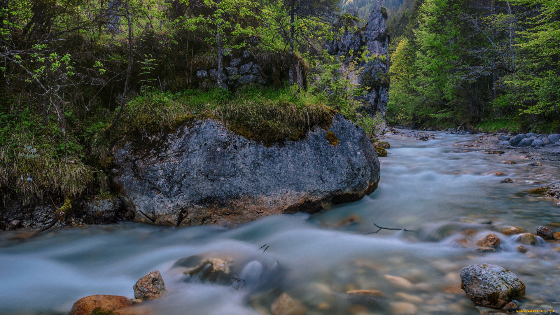 природа, реки, озера, река, лес